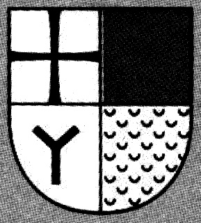 Иллюстрация к книге — "Волчьи стаи" во Второй мировой. Легендарные субмарины Третьего рейха [i_029.jpg]