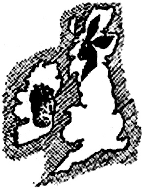 Иллюстрация к книге — &quot;Волчьи стаи&quot; во Второй мировой. Легендарные субмарины Третьего рейха [i_043.jpg]