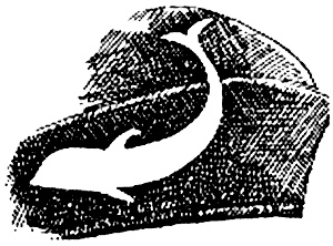 Иллюстрация к книге — &quot;Волчьи стаи&quot; во Второй мировой. Легендарные субмарины Третьего рейха [i_050.jpg]