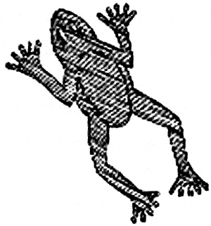 Иллюстрация к книге — &quot;Волчьи стаи&quot; во Второй мировой. Легендарные субмарины Третьего рейха [i_053.jpg]