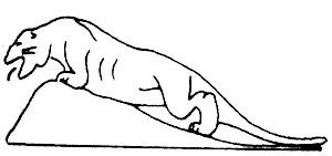 Иллюстрация к книге — &quot;Волчьи стаи&quot; во Второй мировой. Легендарные субмарины Третьего рейха [i_071.jpg]