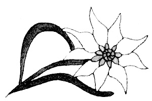 Иллюстрация к книге — &quot;Волчьи стаи&quot; во Второй мировой. Легендарные субмарины Третьего рейха [i_081.jpg]