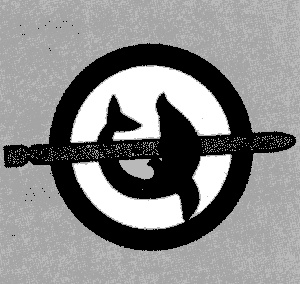 Иллюстрация к книге — &quot;Волчьи стаи&quot; во Второй мировой. Легендарные субмарины Третьего рейха [i_092.jpg]