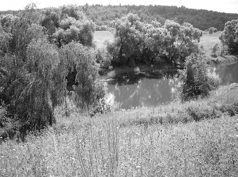 Иллюстрация к книге — Рублевка, скрытая от посторонних глаз. История старинной дороги. 33 истории о великих жителях Рублевки, или Тридцать три богатыря [i_025.jpg]