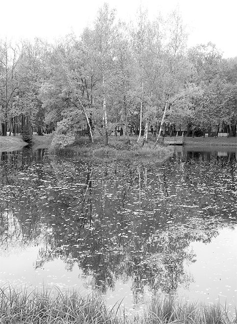 Иллюстрация к книге — Рублевка, скрытая от посторонних глаз. История старинной дороги. 33 истории о великих жителях Рублевки, или Тридцать три богатыря [i_028.jpg]