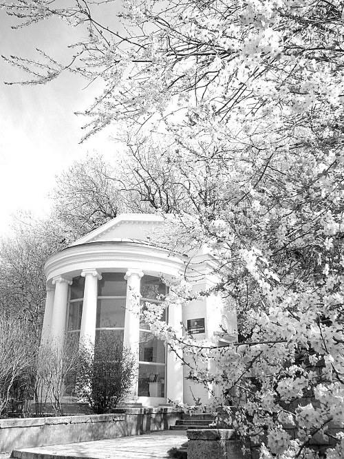 Иллюстрация к книге — Лермонтов и Москва. Над Москвой великой, златоглавою [i_024.jpg]