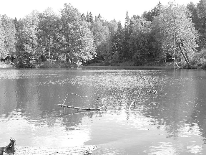 Иллюстрация к книге — Лермонтов и Москва. Над Москвой великой, златоглавою [i_072.jpg]