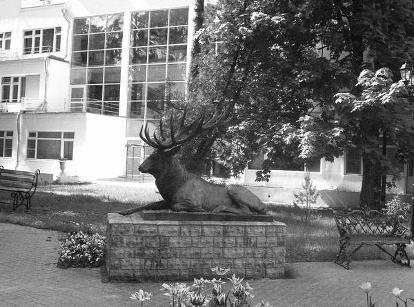 Иллюстрация к книге — Рублевка и ее обитатели. Романтическое повествование [i_002.jpg]