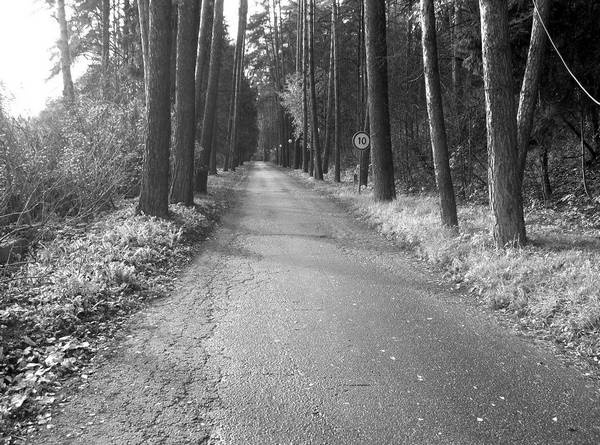 Иллюстрация к книге — Рублевка и ее обитатели. Романтическое повествование [i_065.jpg]