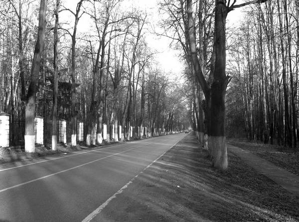 Иллюстрация к книге — Рублевка и ее обитатели. Романтическое повествование [i_066.jpg]