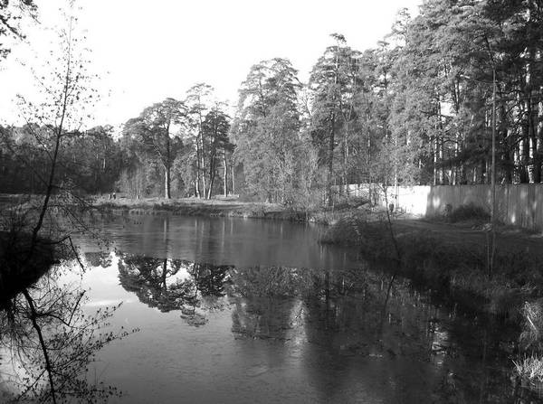 Иллюстрация к книге — Рублевка и ее обитатели. Романтическое повествование [i_074.jpg]