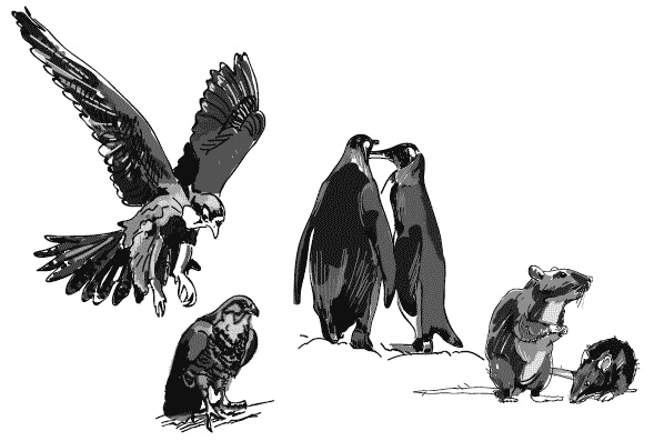 Иллюстрация к книге — Дура с двумя высшими желает познакомиться [i_030.jpg]