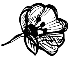 Иллюстрация к книге — Дура с двумя высшими желает познакомиться [i_050.jpg]