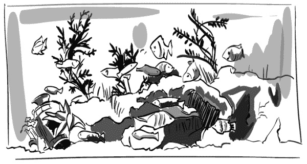 Иллюстрация к книге — Дура с двумя высшими желает познакомиться [i_065.jpg]