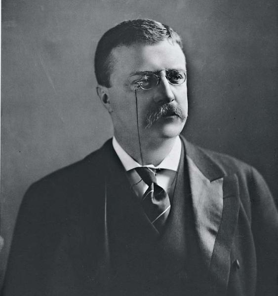 Иллюстрация к книге — Краткая история США [_30.jpg]