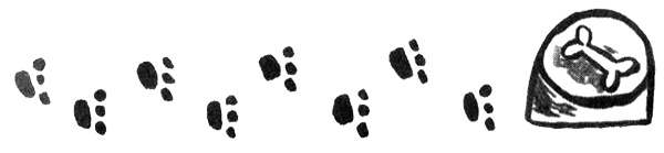 Иллюстрация к книге — Про Бабаку Косточкину [i_001.jpg]