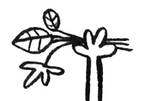 Иллюстрация к книге — Про Бабаку Косточкину [i_037.jpg]