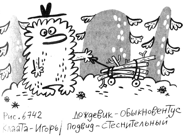 Иллюстрация к книге — Про Бабаку Косточкину [i_088.jpg]