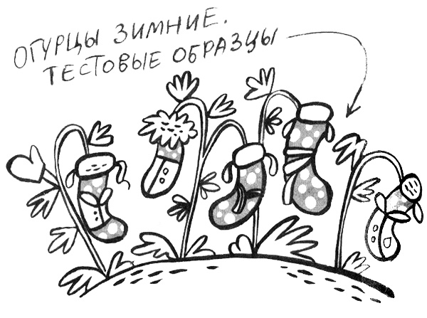 Иллюстрация к книге — Про Бабаку Косточкину [i_102.jpg]