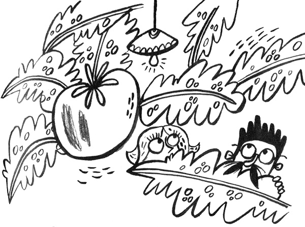 Иллюстрация к книге — Про Бабаку Косточкину [i_161.jpg]