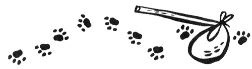 Иллюстрация к книге — Про Бабаку Косточкину [i_215.jpg]