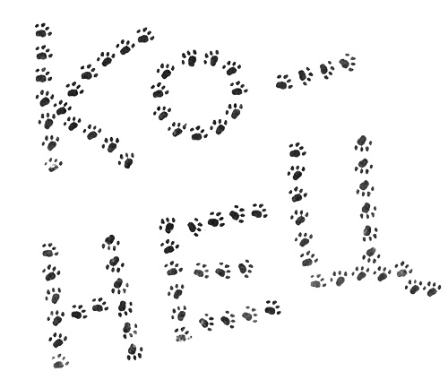 Иллюстрация к книге — Про Бабаку Косточкину [i_218.jpg]