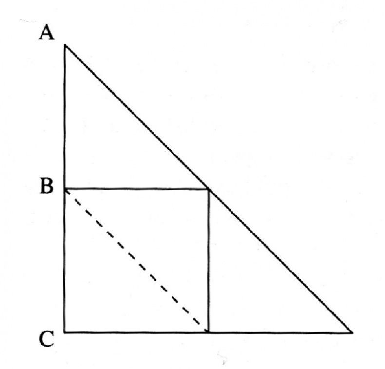 Иллюстрация к книге — Упрямый Галилей [i_045.jpg]
