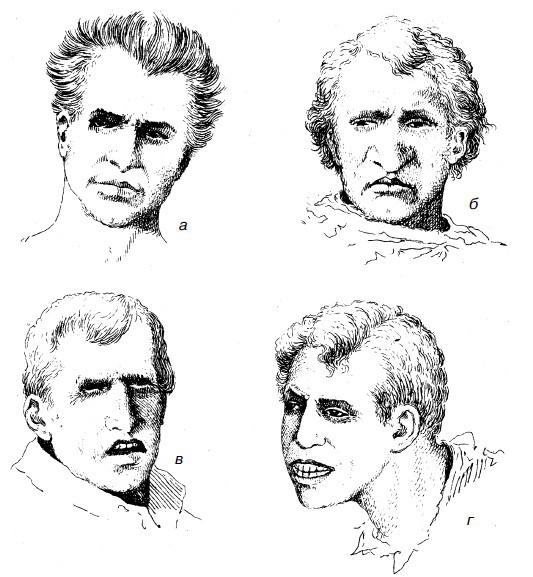 Иллюстрация к книге — Физиогномика и выражение чувств [i_021.jpg]