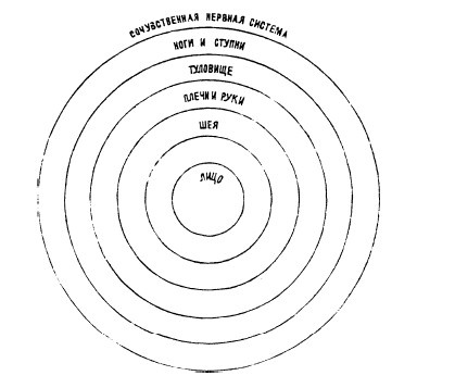 Иллюстрация к книге — Физиогномика и выражение чувств [i_030.jpg]