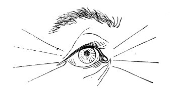 Иллюстрация к книге — Физиогномика и выражение чувств [i_035.jpg]