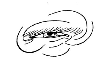 Иллюстрация к книге — Физиогномика и выражение чувств [i_037.jpg]