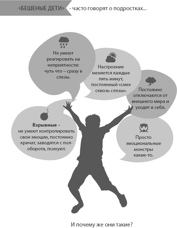 Иллюстрация к книге — Ребенок от 8 до 13 лет. Самый трудный возраст [_9.jpg]