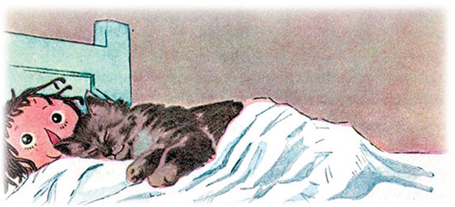 Иллюстрация к книге — Новые истории Тряпичной Энн [i_019.jpg]