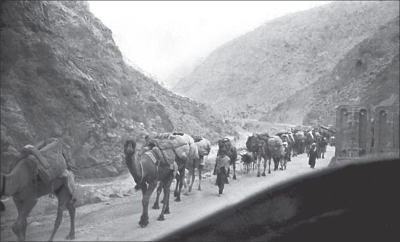 Иллюстрация к книге — Афганская война. Все боевые операции [i_104.jpg]