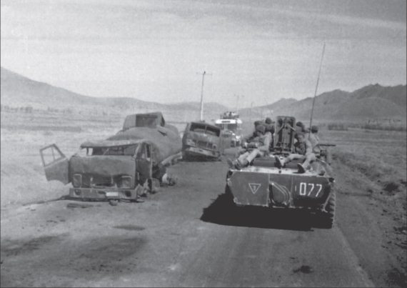 Иллюстрация к книге — Афганская война. Все боевые операции [i_118.jpg]