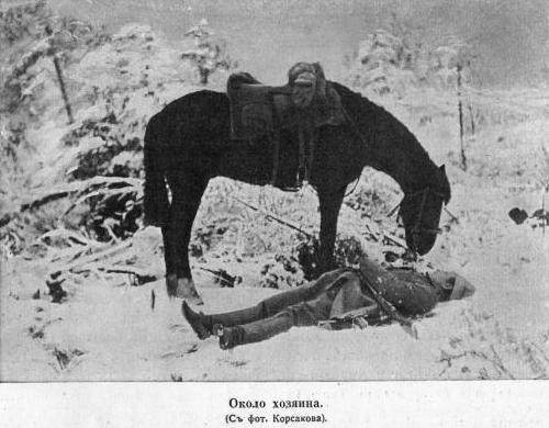 Иллюстрация к книге — Полководцы Первой Мировой. Русская армия в лицах [i_110.jpg]