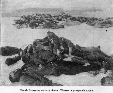 Иллюстрация к книге — Полководцы Первой Мировой. Русская армия в лицах [i_116.jpg]