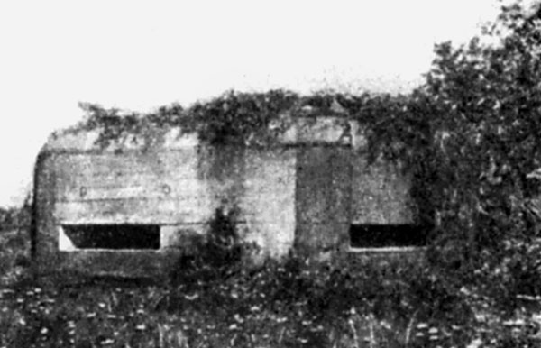 Иллюстрация к книге — &quot;Линия Сталина&quot; в бою [i_060.jpg]