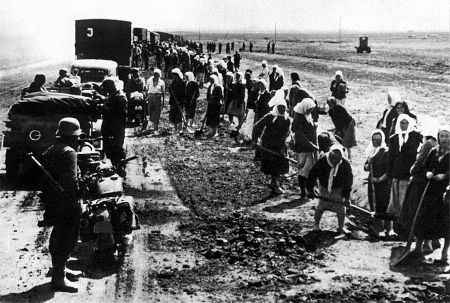 Иллюстрация к книге — 1941. Победный парад Гитлера. Правда об Уманском побоище [i_034.jpg]