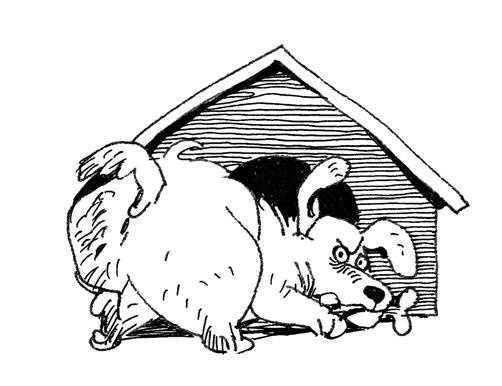 Иллюстрация к книге — Интуитивное питание. Как перестать беспокоиться о еде и похудеть [i_053.jpg]