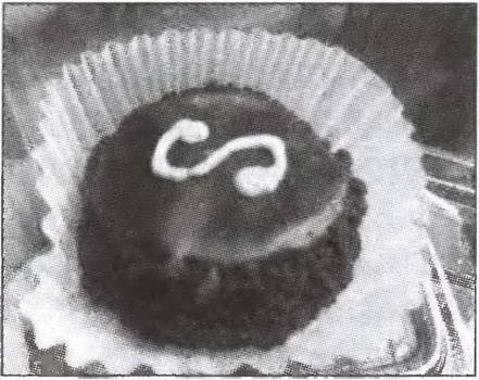 Иллюстрация к книге — Вена. История. Легенды. Предания [i_044.jpg]