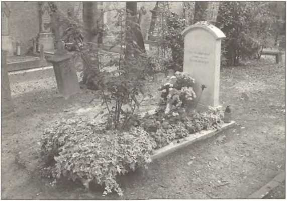 Иллюстрация к книге — Русская Италия [i_116.jpg]