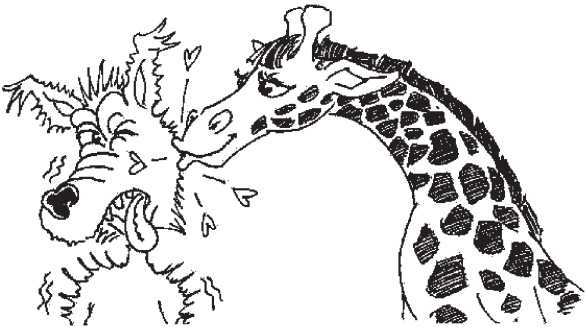 Иллюстрация к книге — Если жираф танцует с Волком [i_050.jpg]