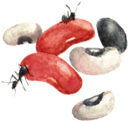 Иллюстрация к книге — Велькино детство [_18.jpg]