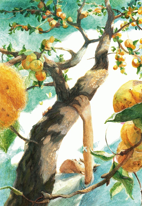 Иллюстрация к книге — Велькино детство [_20.jpg]