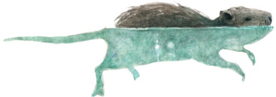 Иллюстрация к книге — Велькино детство [_26.jpg]