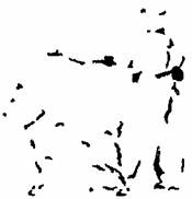 Иллюстрация к книге — Занимательная психология [any2fbimgloader1.jpg]