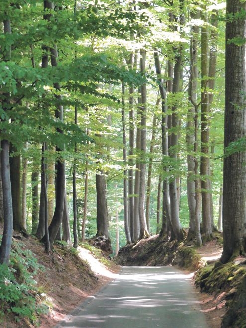 Иллюстрация к книге — Мне всегда везет! Мемуары счастливой женщины [i_157.jpg]