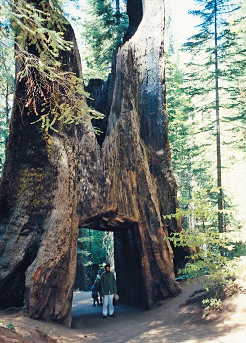 Иллюстрация к книге — Мне всегда везет! Мемуары счастливой женщины [i_168.jpg]