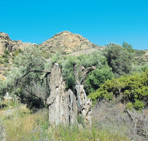 Иллюстрация к книге — Мне всегда везет! Мемуары счастливой женщины [i_182.jpg]